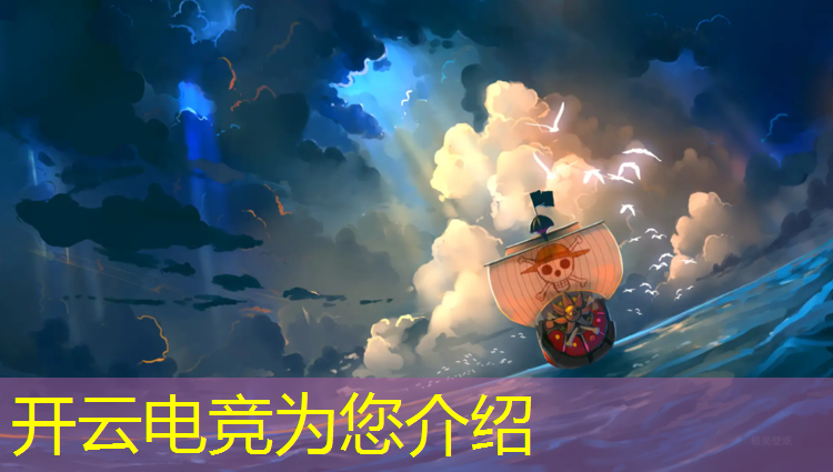 开云电竞为您介绍：电竞赛事发展报告模板